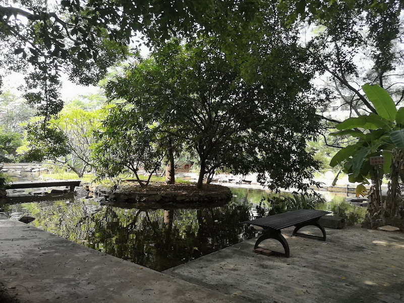 公司后花園-3
